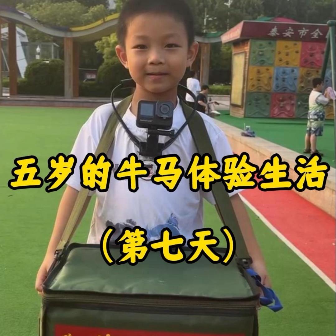 豆哥体验生活