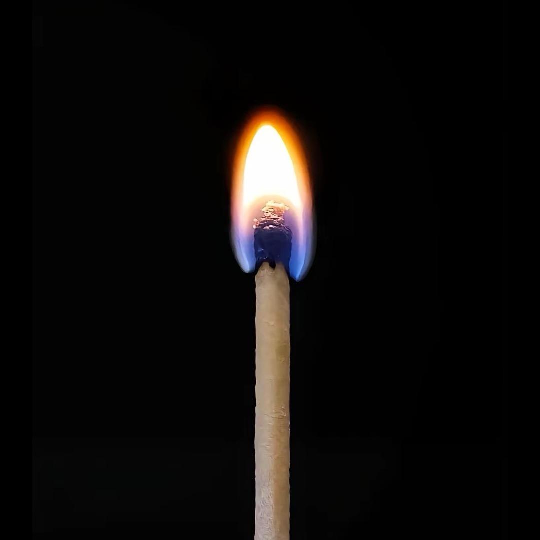 你我他（连滚带爬）