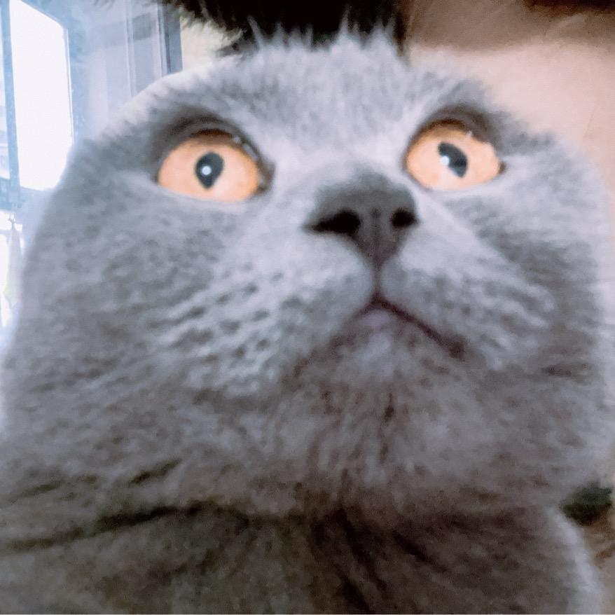 停止内耗 生活美好