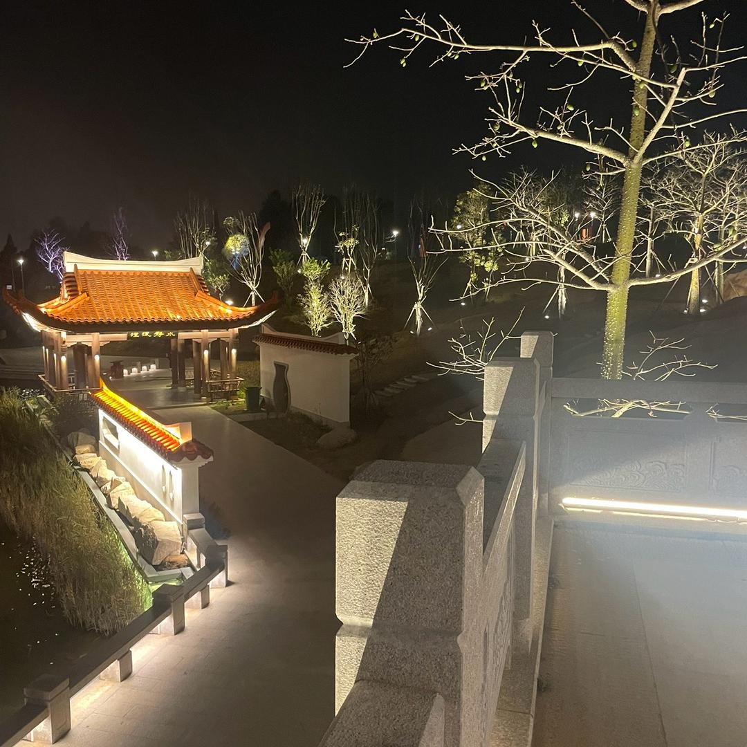 得梦为鱼·