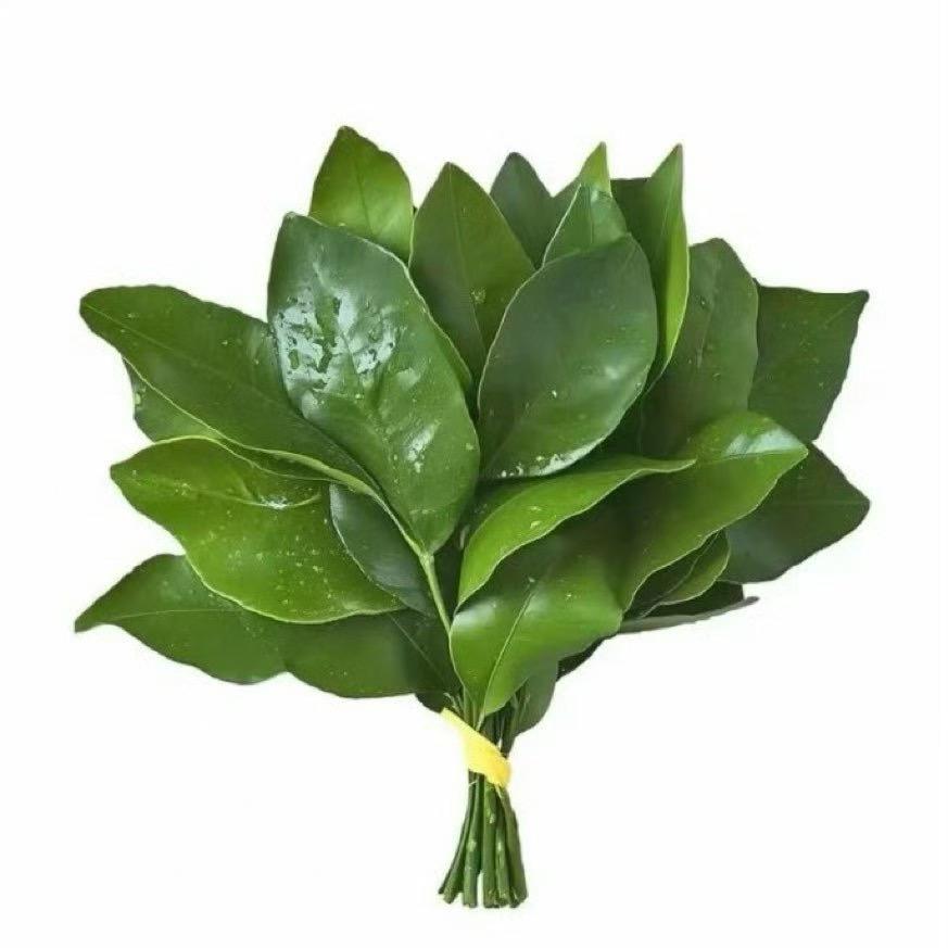 小刘不吃巧克力