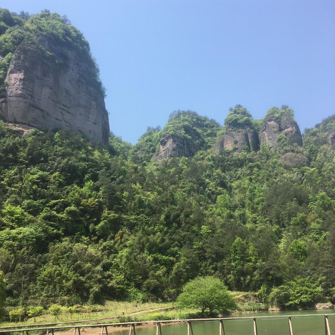 老马🐴