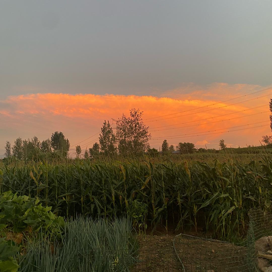 💰ღᩚ᭄来财࿐💕