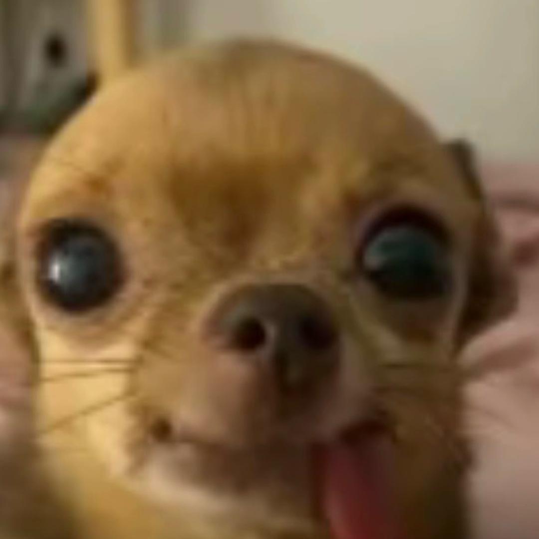 南北