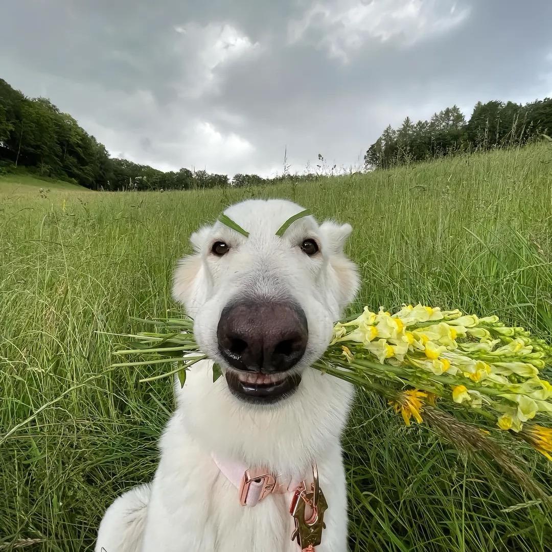 小宇🌧️