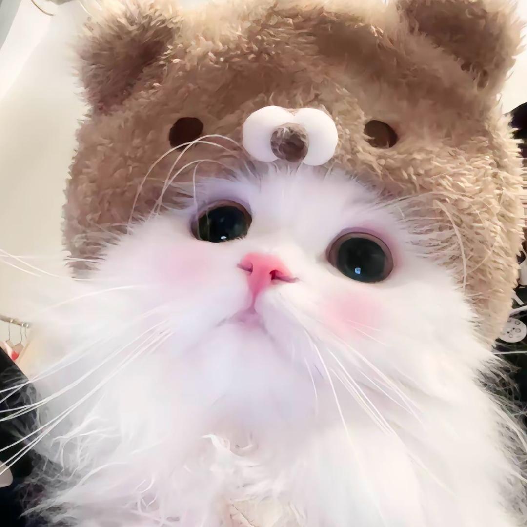 笨蛋小妮