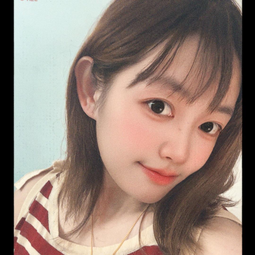 Camellia（山茶花）