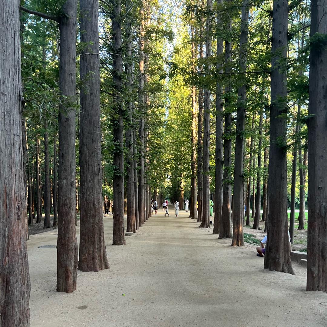 💕ꦿ҉好ᨶ႒ᩚ运ᥫᩣ໌້ᮨ加满✨