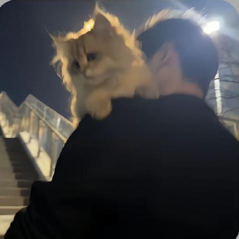 小z