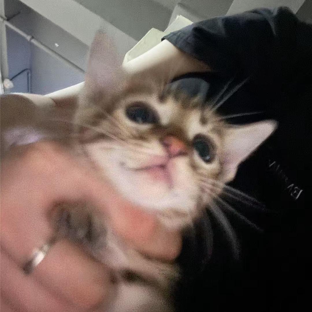 不归