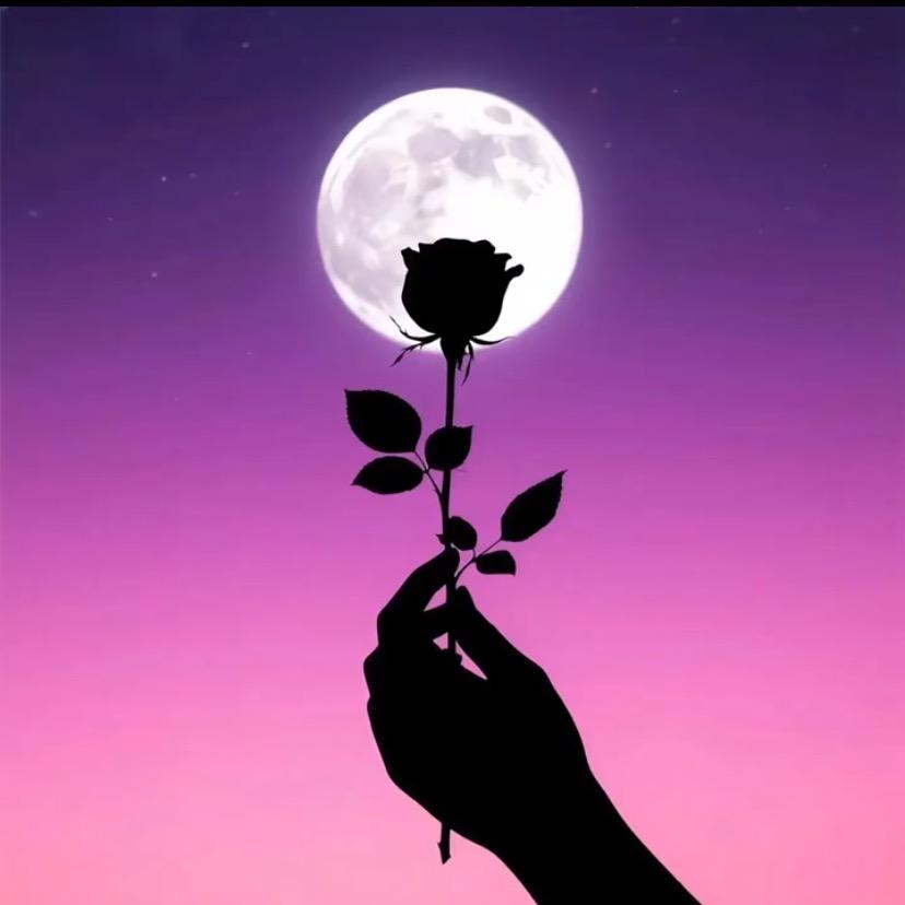 花语💕