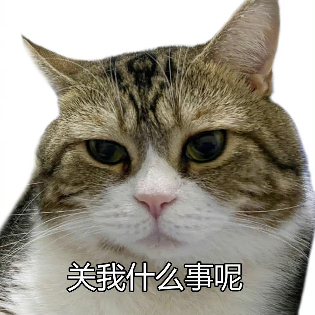 主页长草了