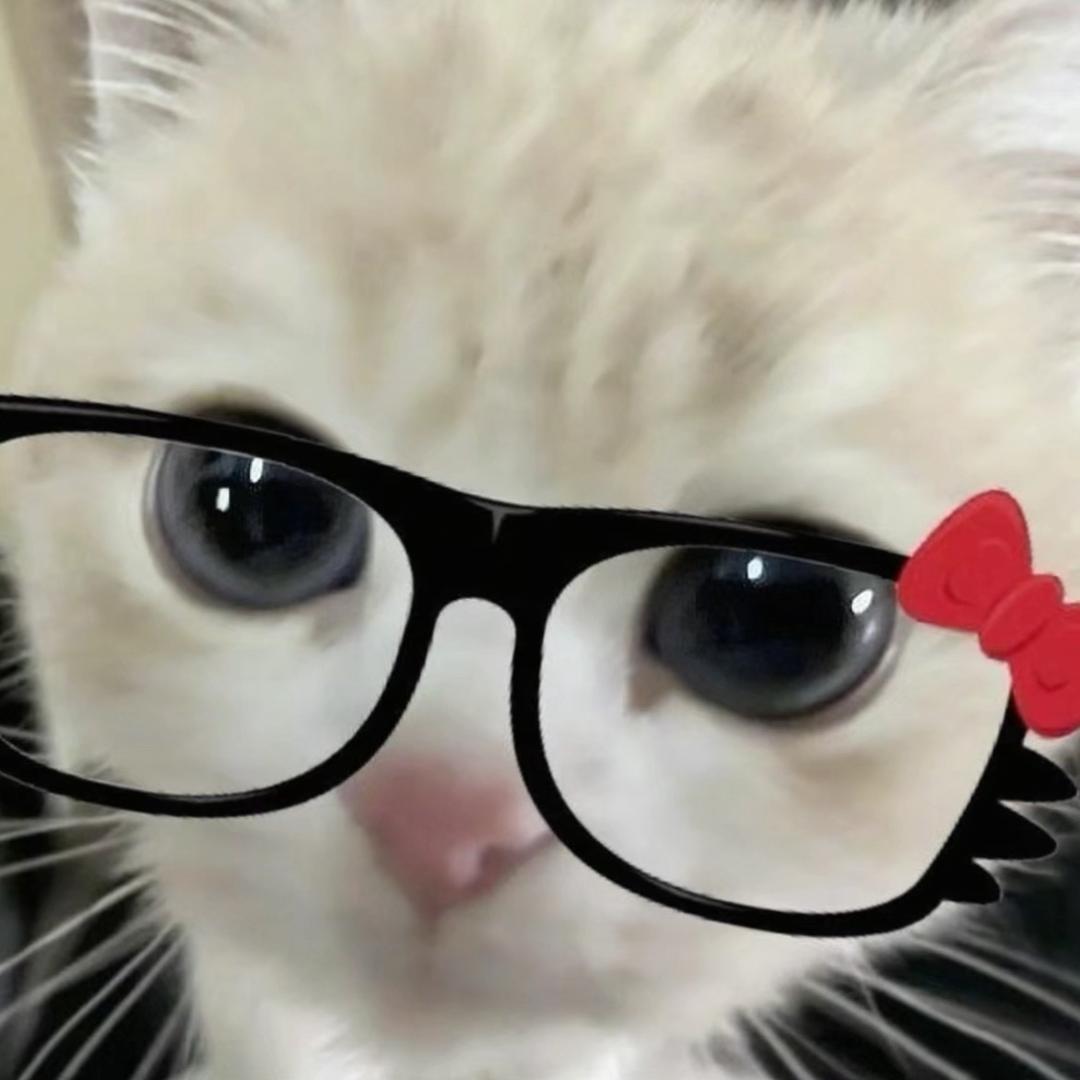 流泪猫猫头