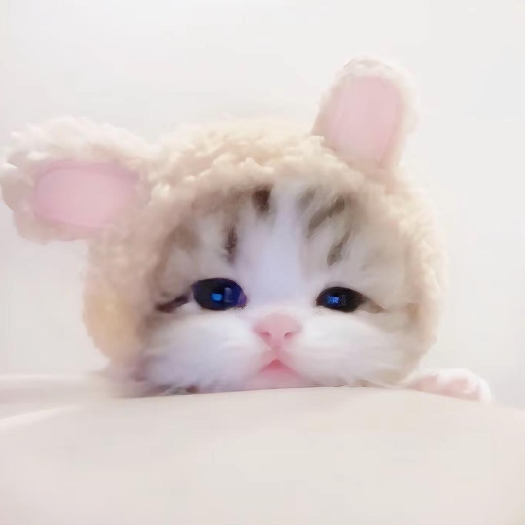 🧇