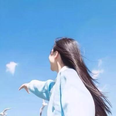 鸽子