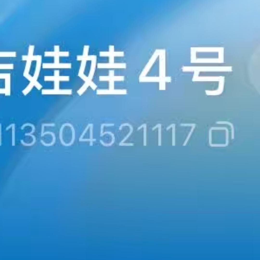 大斌吉娃娃4号