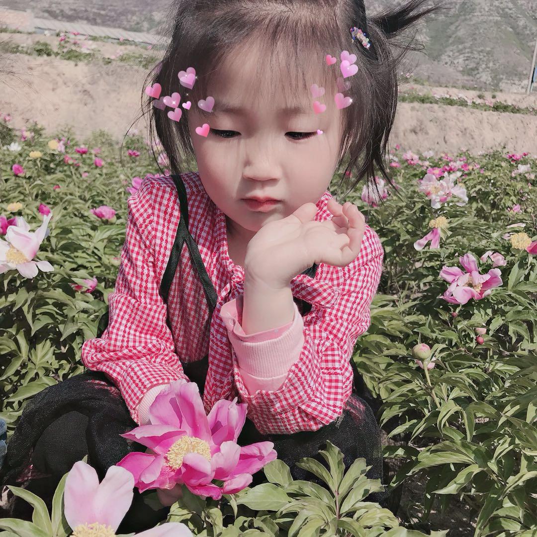 🌟🌟✨✨🐰果💗💗果🐰✨✨🌟