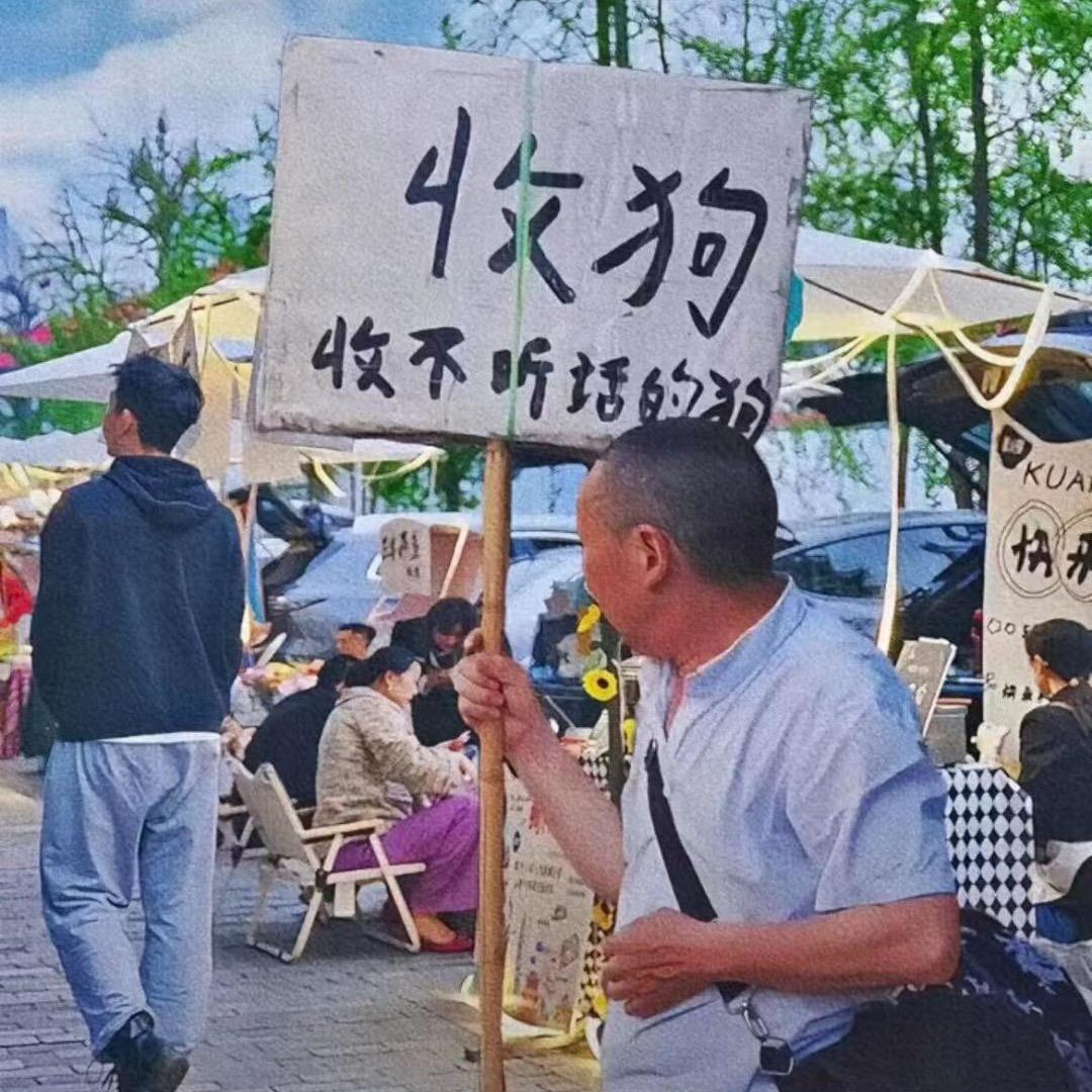 佛系代步车贸啊狗