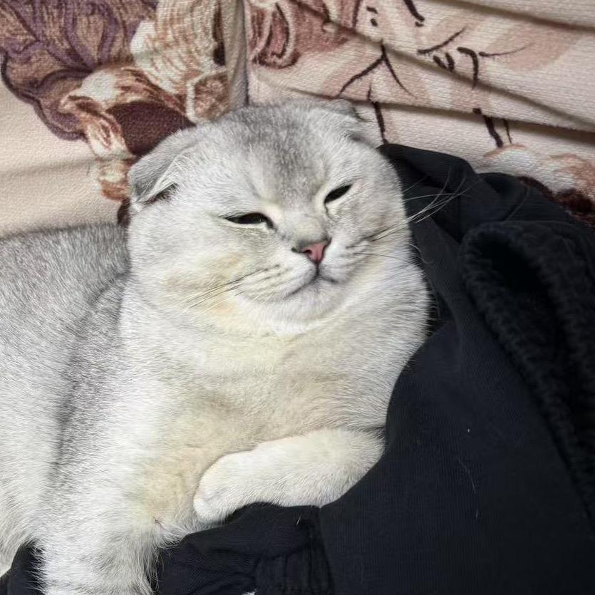 Two Star屌丝福（订房私/绿泡泡）