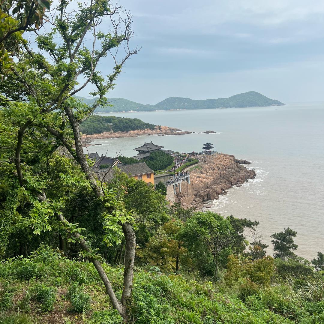 半生沉浮