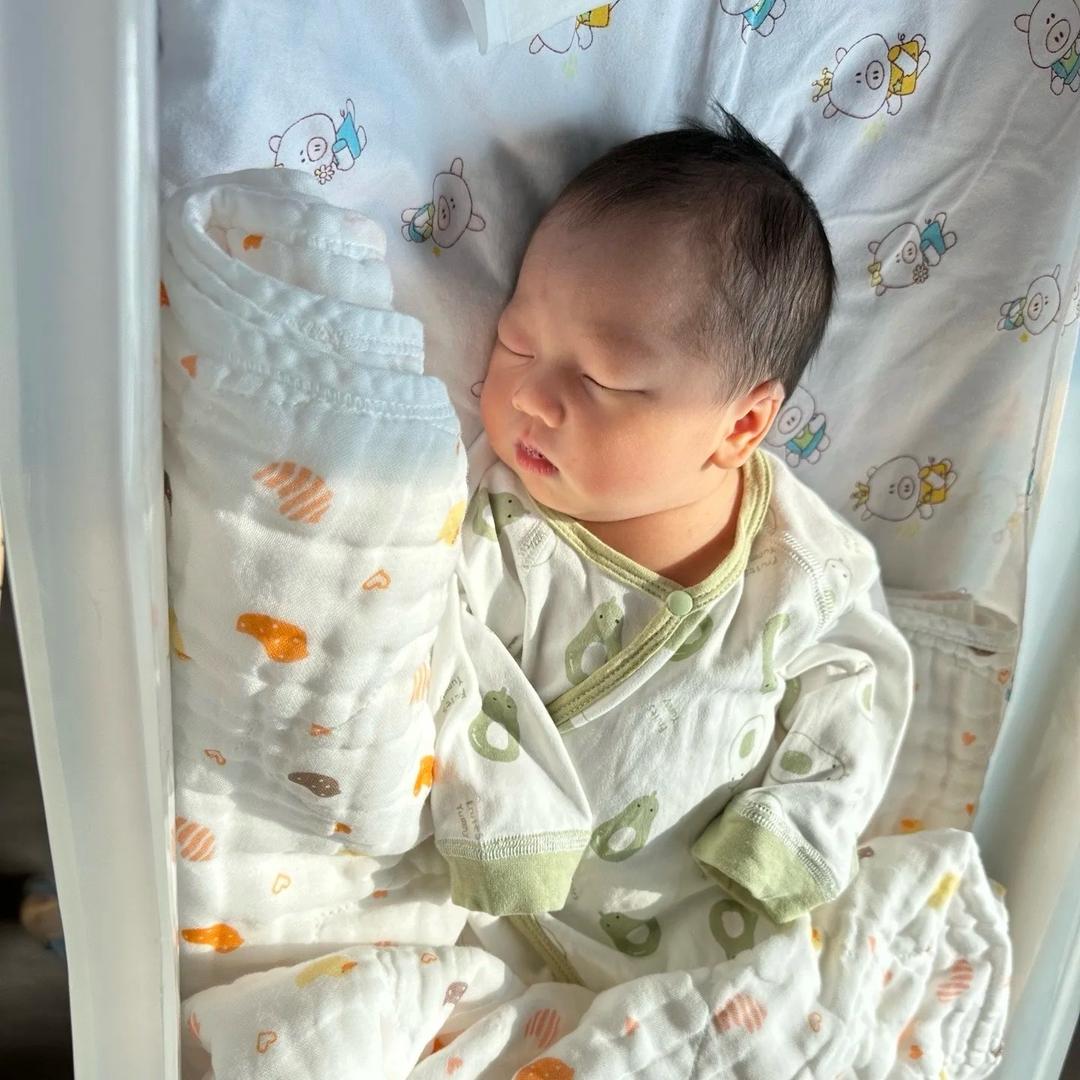 惫宝上岸规划中