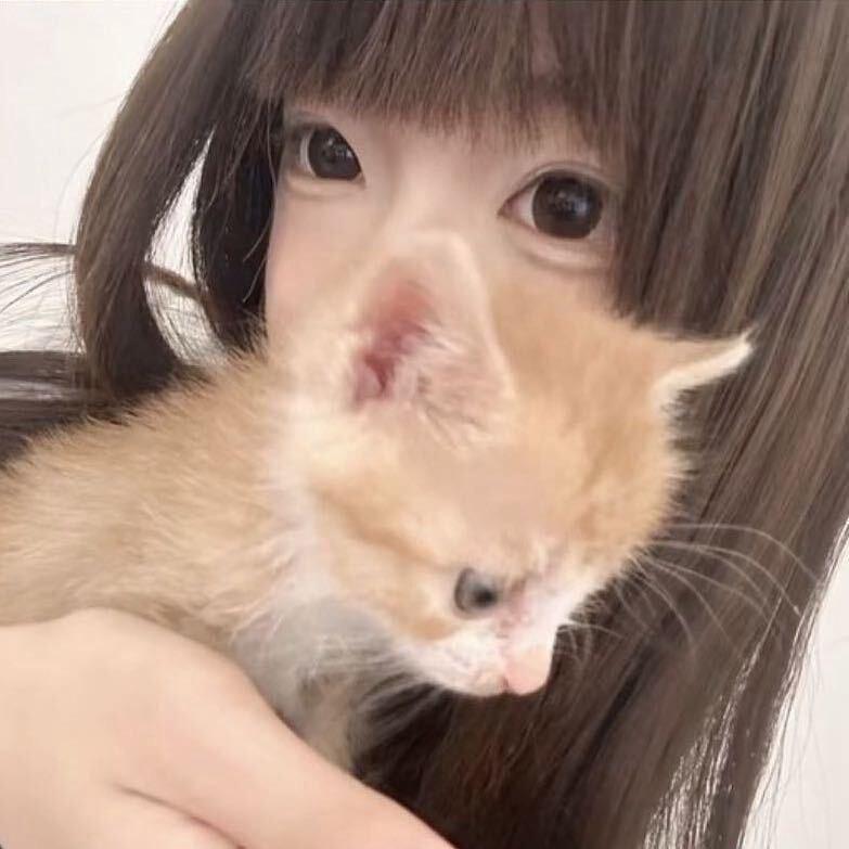 小懒.
