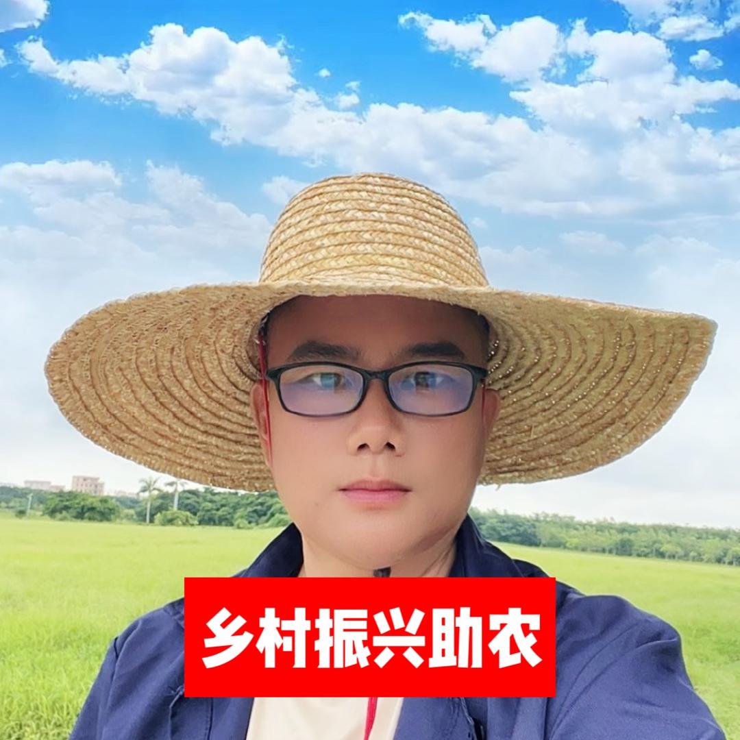 广东黎安