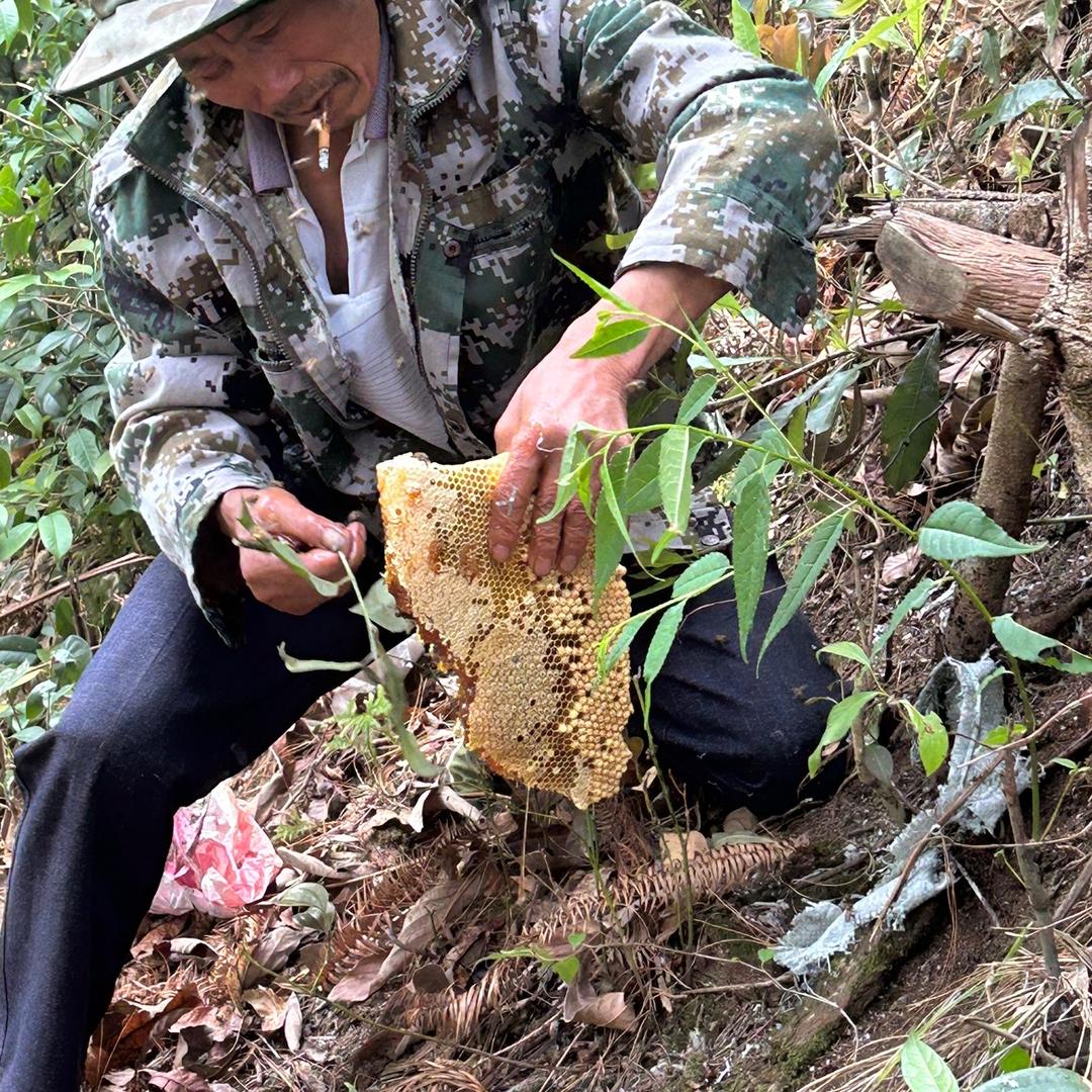 极边之城