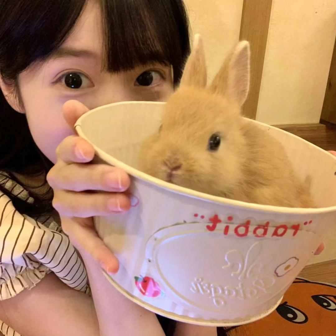 池蒽.