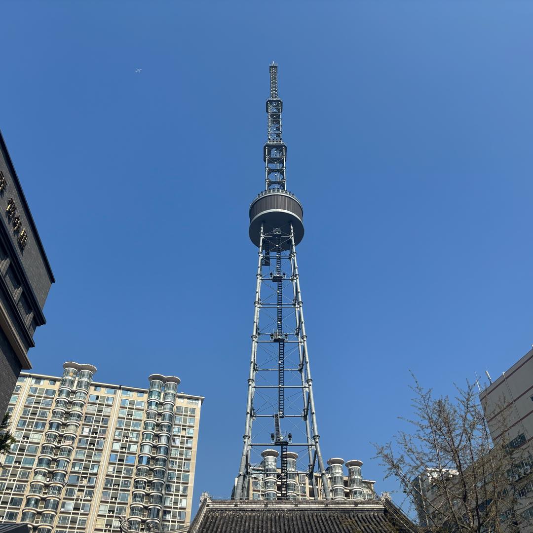 花儿虽美但有毒