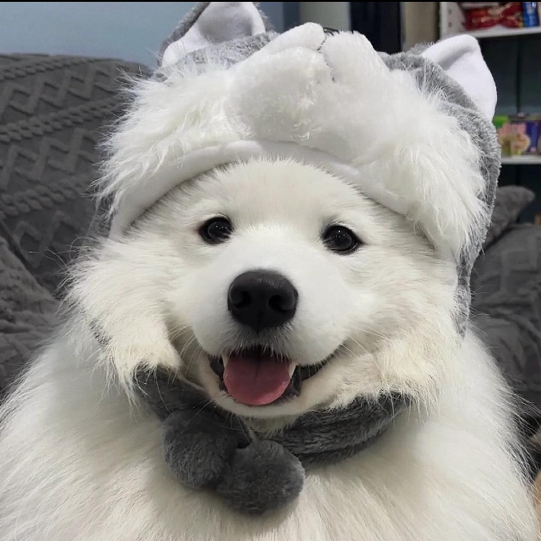 卢铭依
