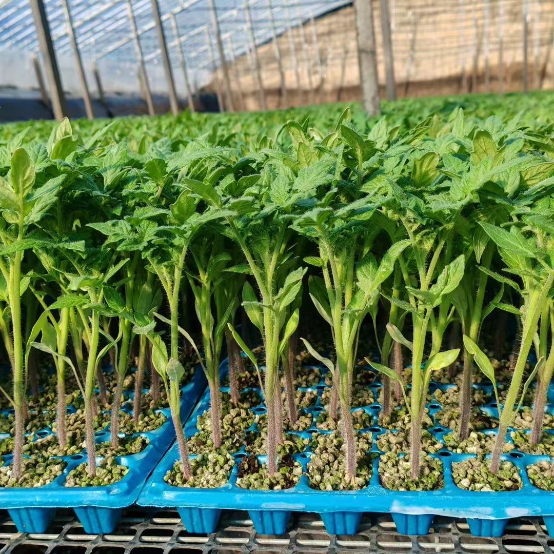 寿光学林达达生鲜有限公司