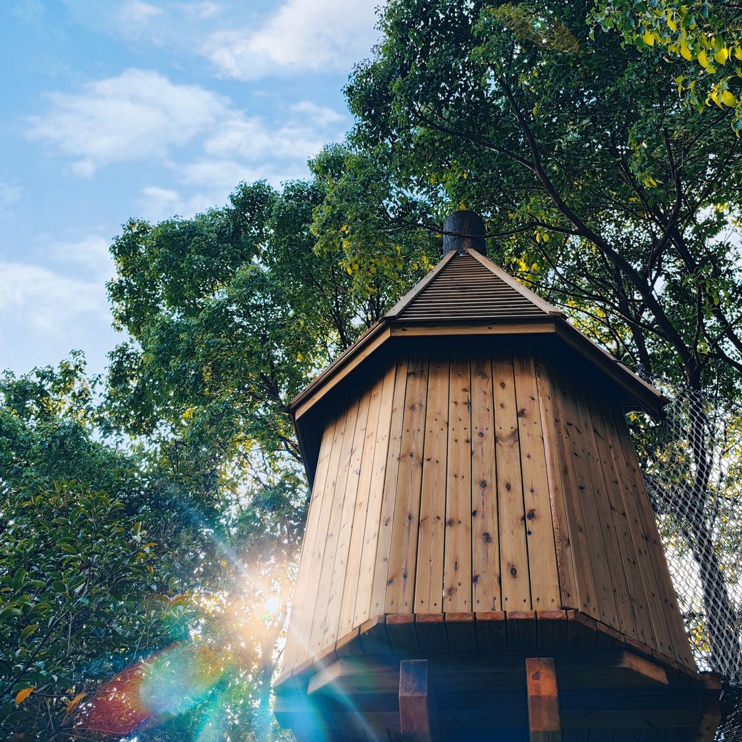 小小西的老西们