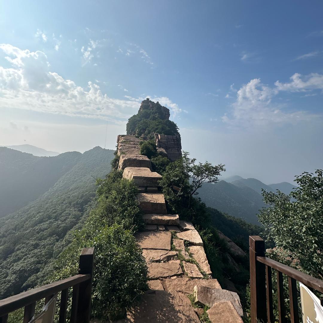 自由在风里