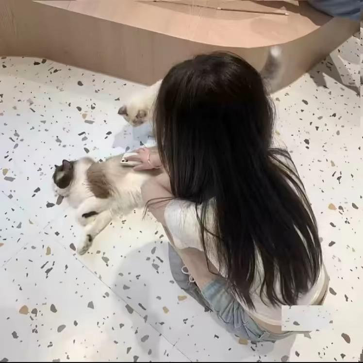 不吃姜的姜姜🍹