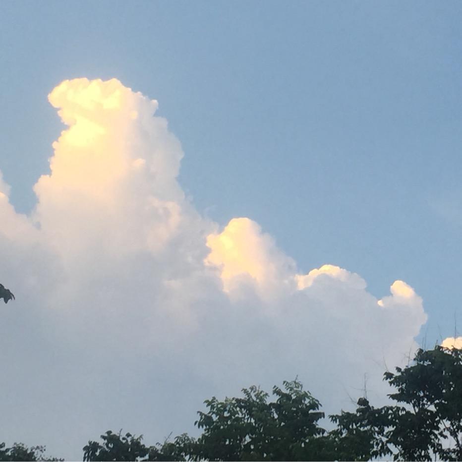 张四杰鄢陵县康王庙村