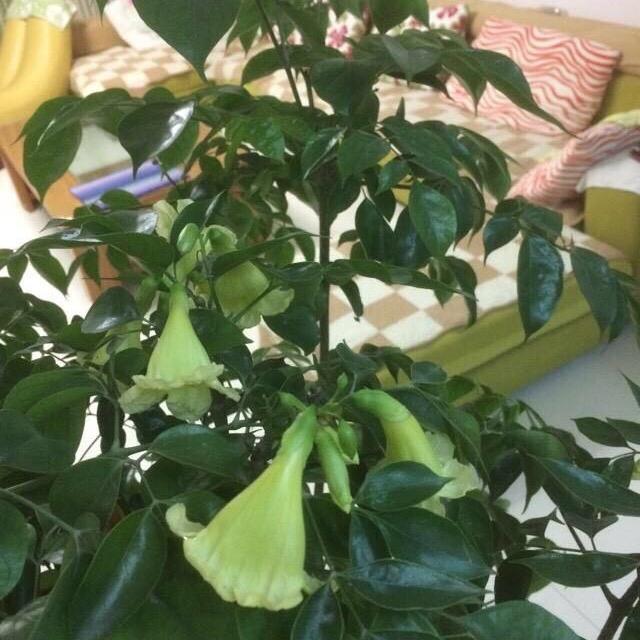 冀同学