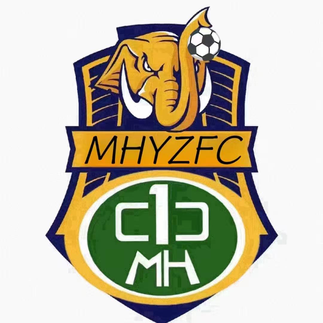 勐海一中高中男子足球队