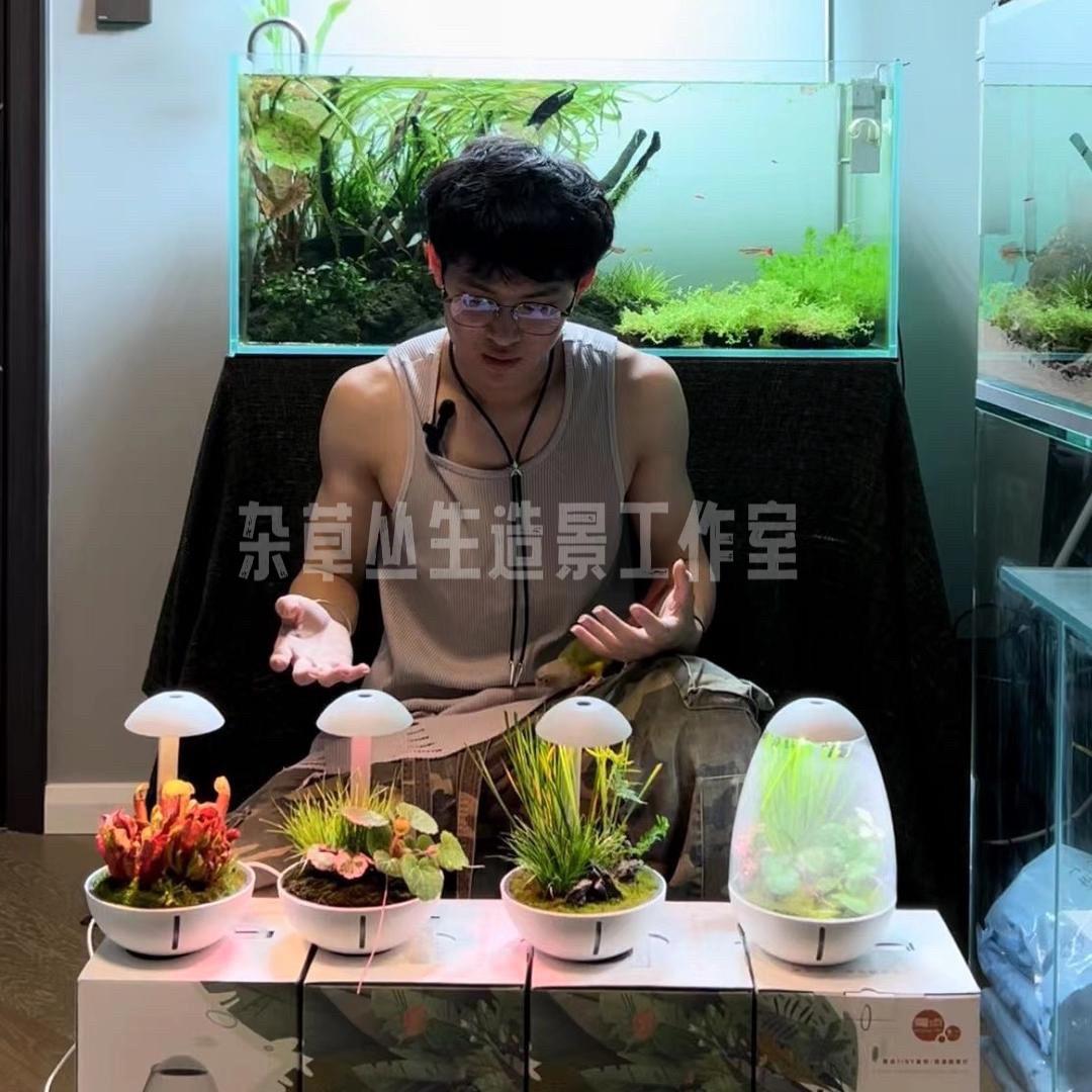 杂草丛生 振华