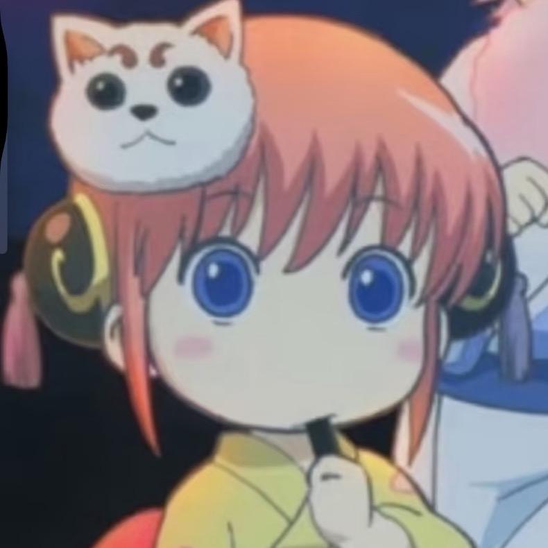 水獭咪