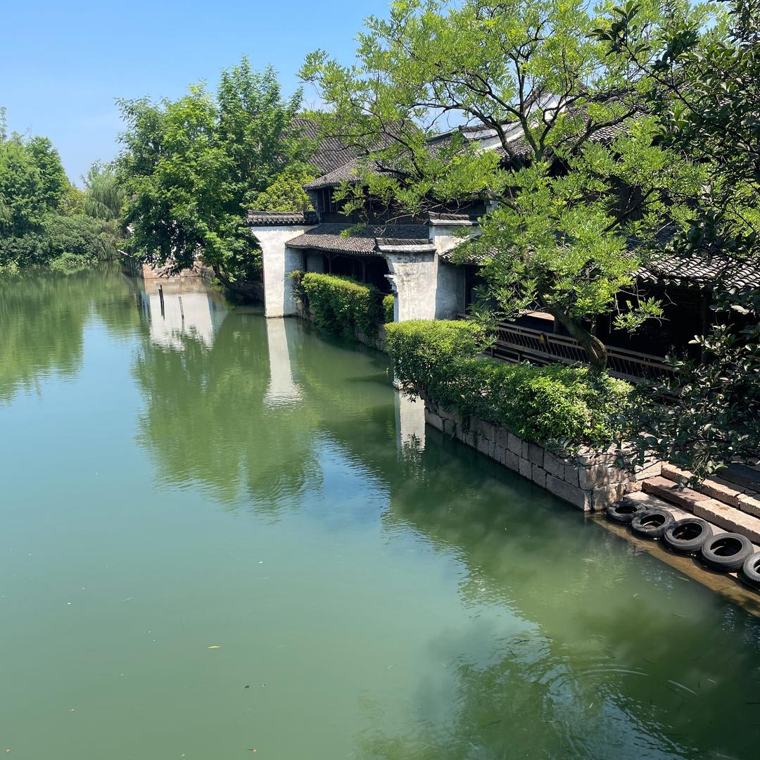 崔雅婷
