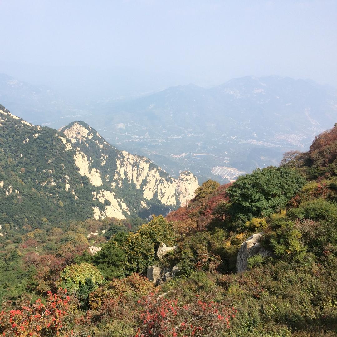 贺智昌
