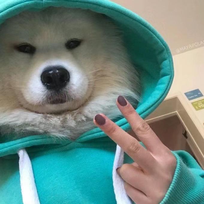 你的甜心❤