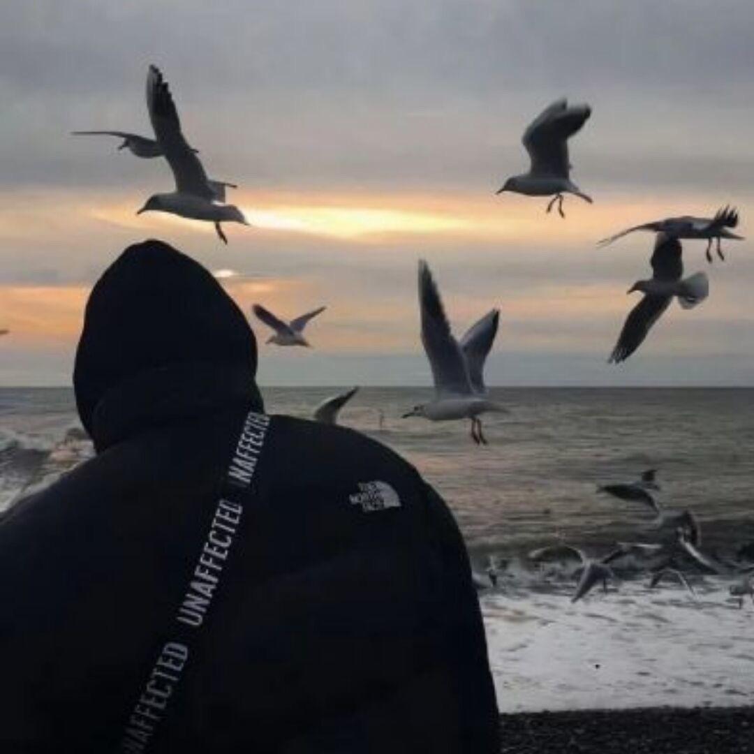 夕阳西下不见故人