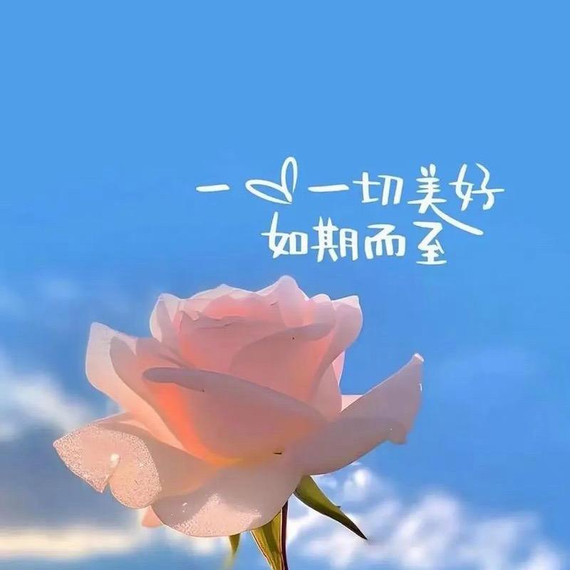 涵儿