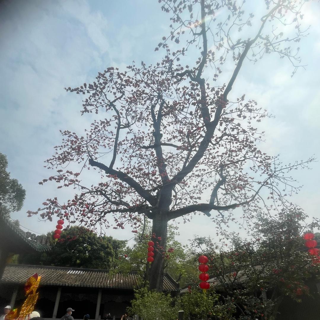 易头像