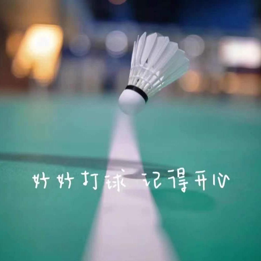 羽翔体育