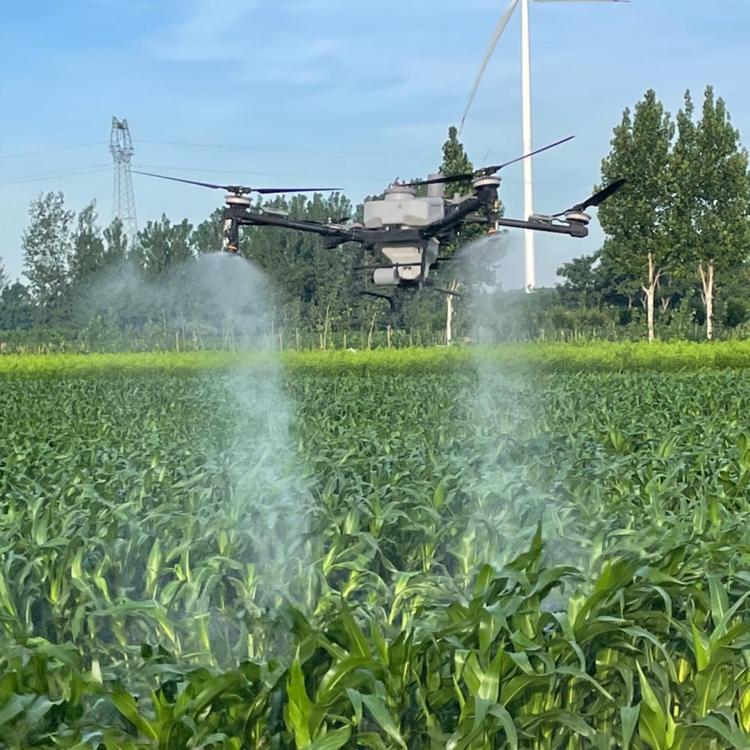 新农人小凌～红花刘建国农资门店