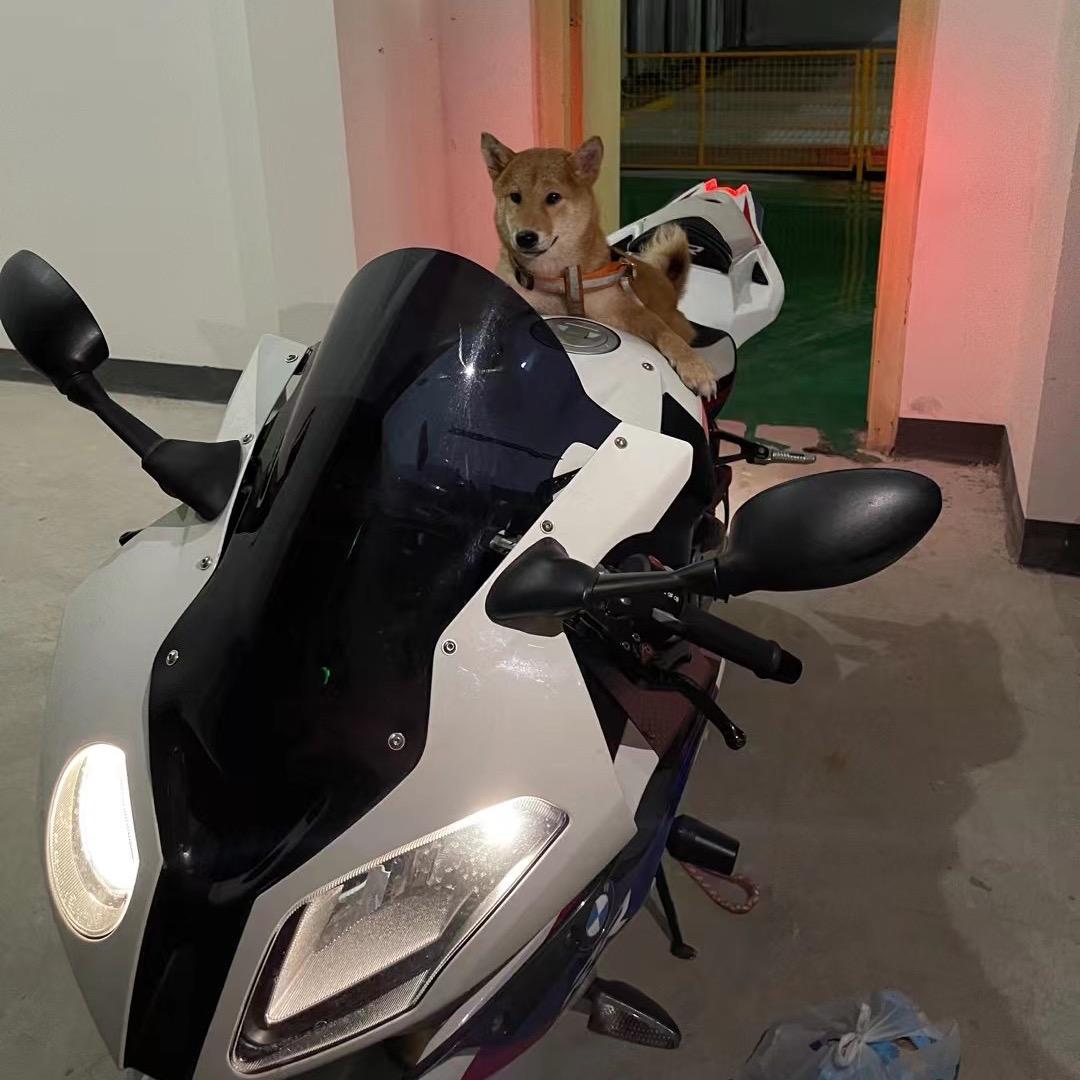 骑宝马的舒克✈️