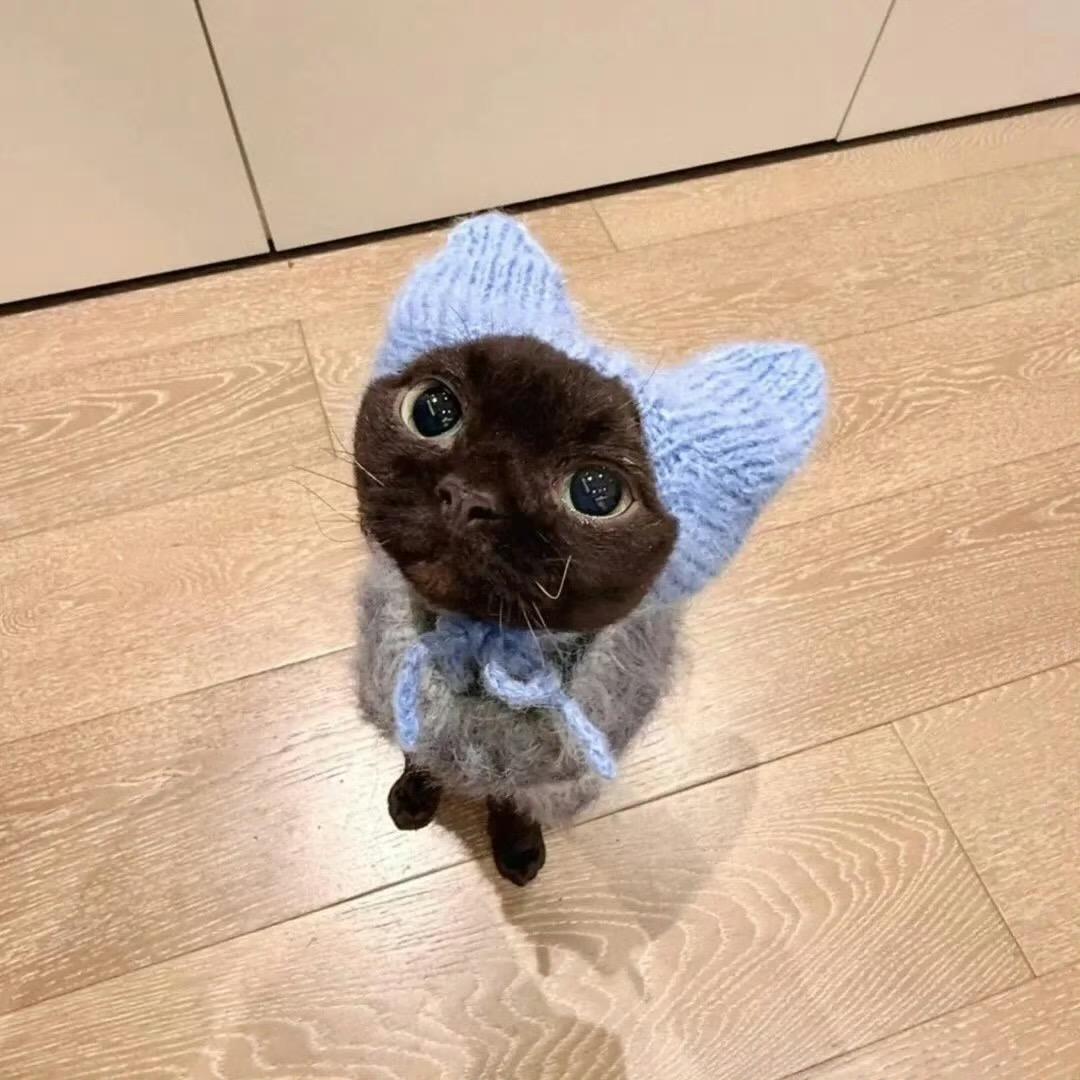 鲔鱼喵喵（≧∇≦）